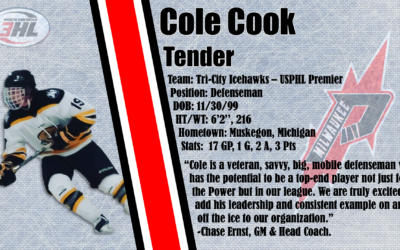 Power Sign Tri-City IceHawks D-Man