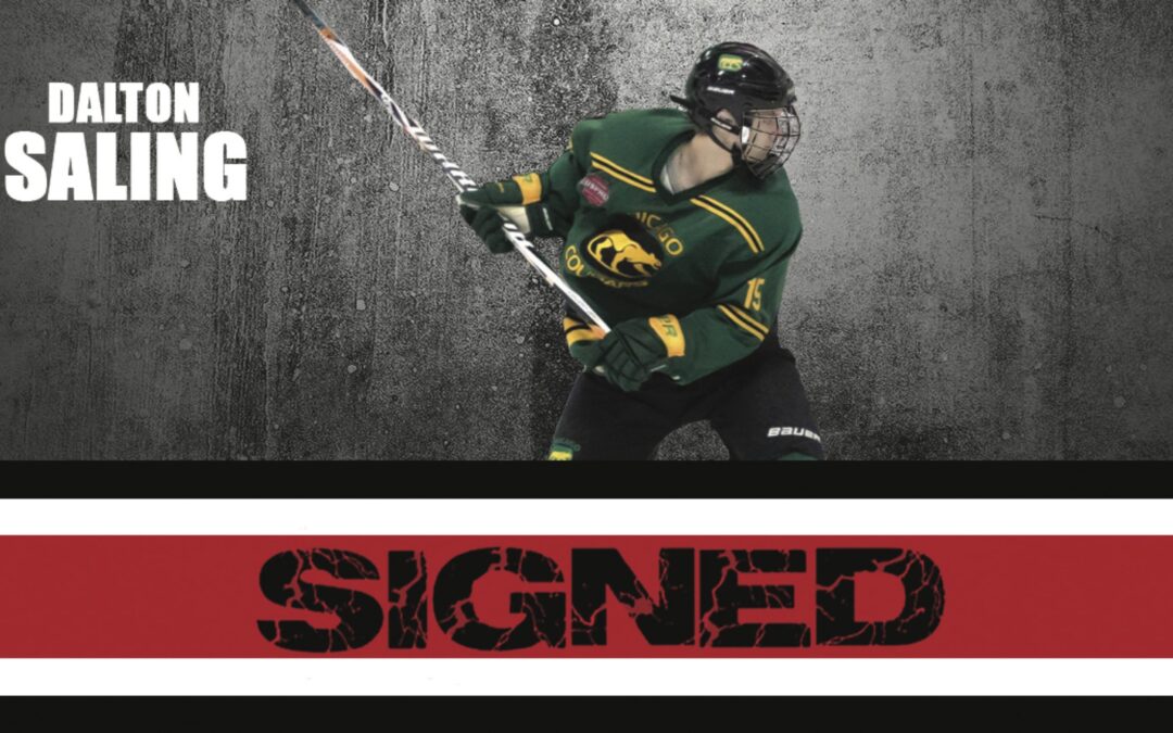 Power Sign D-Man Saling